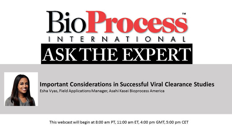 Important Considerations in Successful Viral Clearance Studies